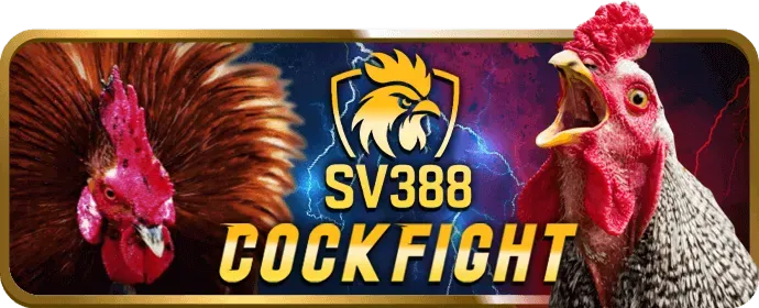 Tổng quan về các chương trình khuyến mãi của sf88 nhà cái